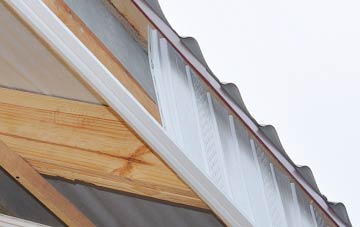 why Ballymagorry fascia repairs are essential