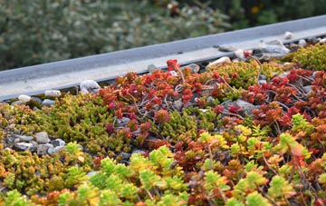 the cost of Ballymagorry green roof installation