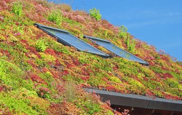 Ballymagorry living roof systems