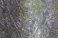 Ballymagorry fibreglass roof work